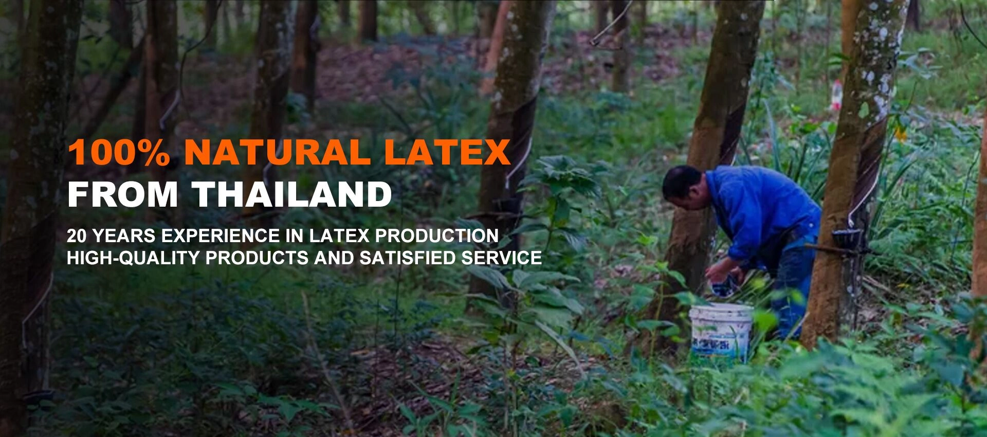 Furnizor natural de saltea din latex